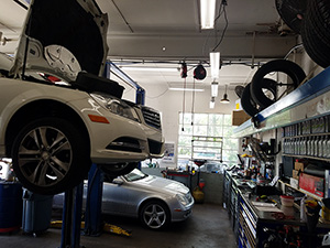 gallery image 13